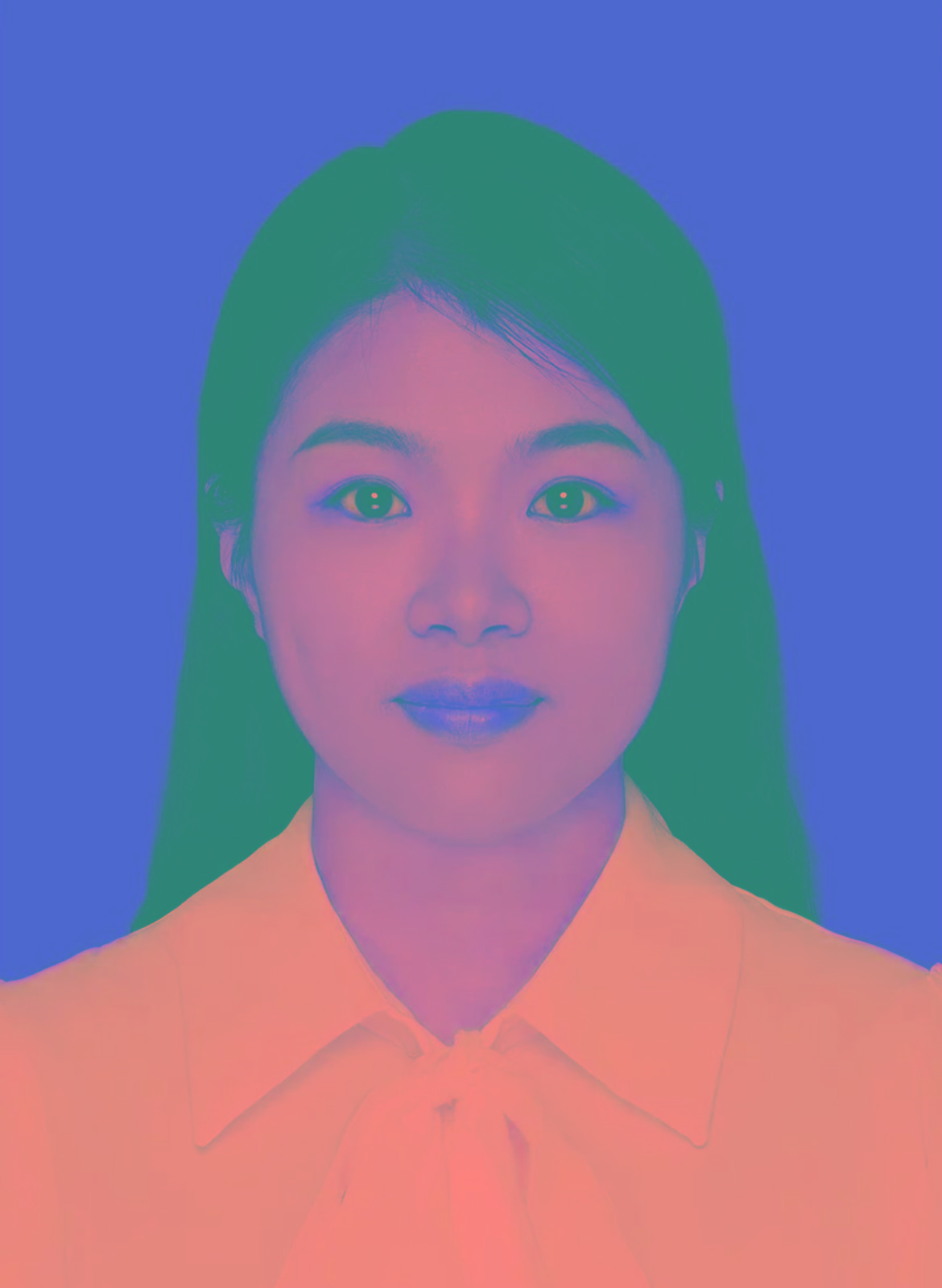 1773758556461.jpg 何 晶.jpg