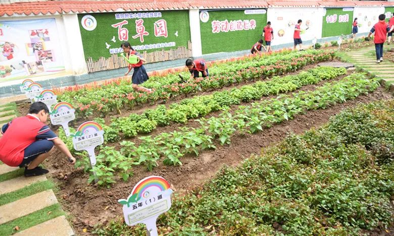 1607867434730419.jpg 6.jpg