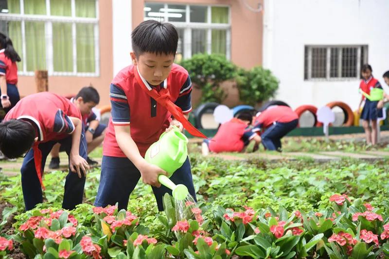 1607867464998710.jpg 微信图片_20201213215045.jpg