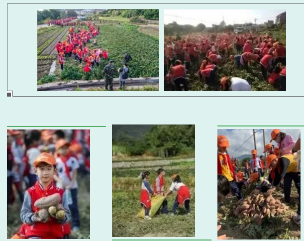 1607868137918633.png image.png