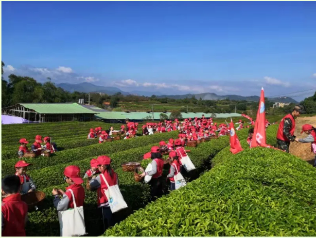 1607868568368960.png image.png