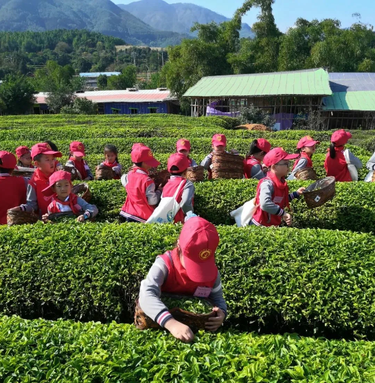 1607868590707922.png image.png