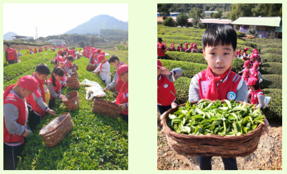 1607868604280744.png image.png