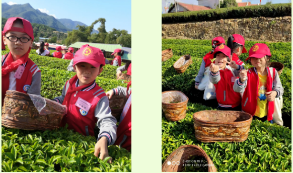 1607868618896508.png image.png