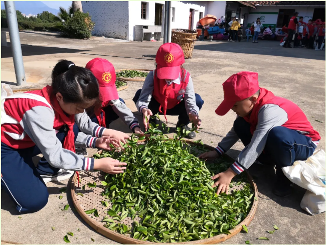 1607868643480370.png image.png