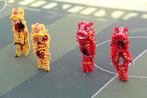 1607872943916423.jpg 21.jpg