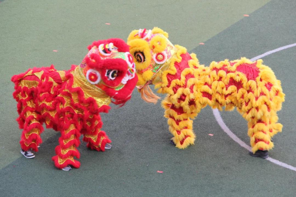 1607872963913007.jpg 22.jpg