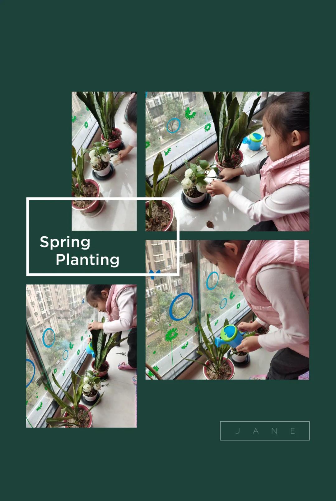 1617503928362883.jpg 1617503928362883.jpg