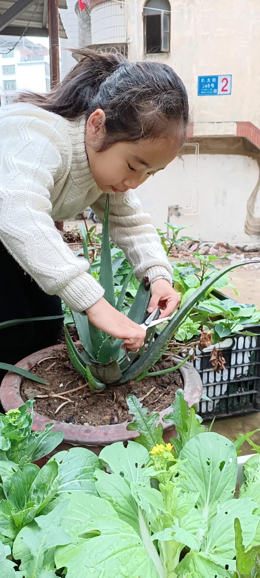 1617503928471781.jpg 1617503928471781.jpg