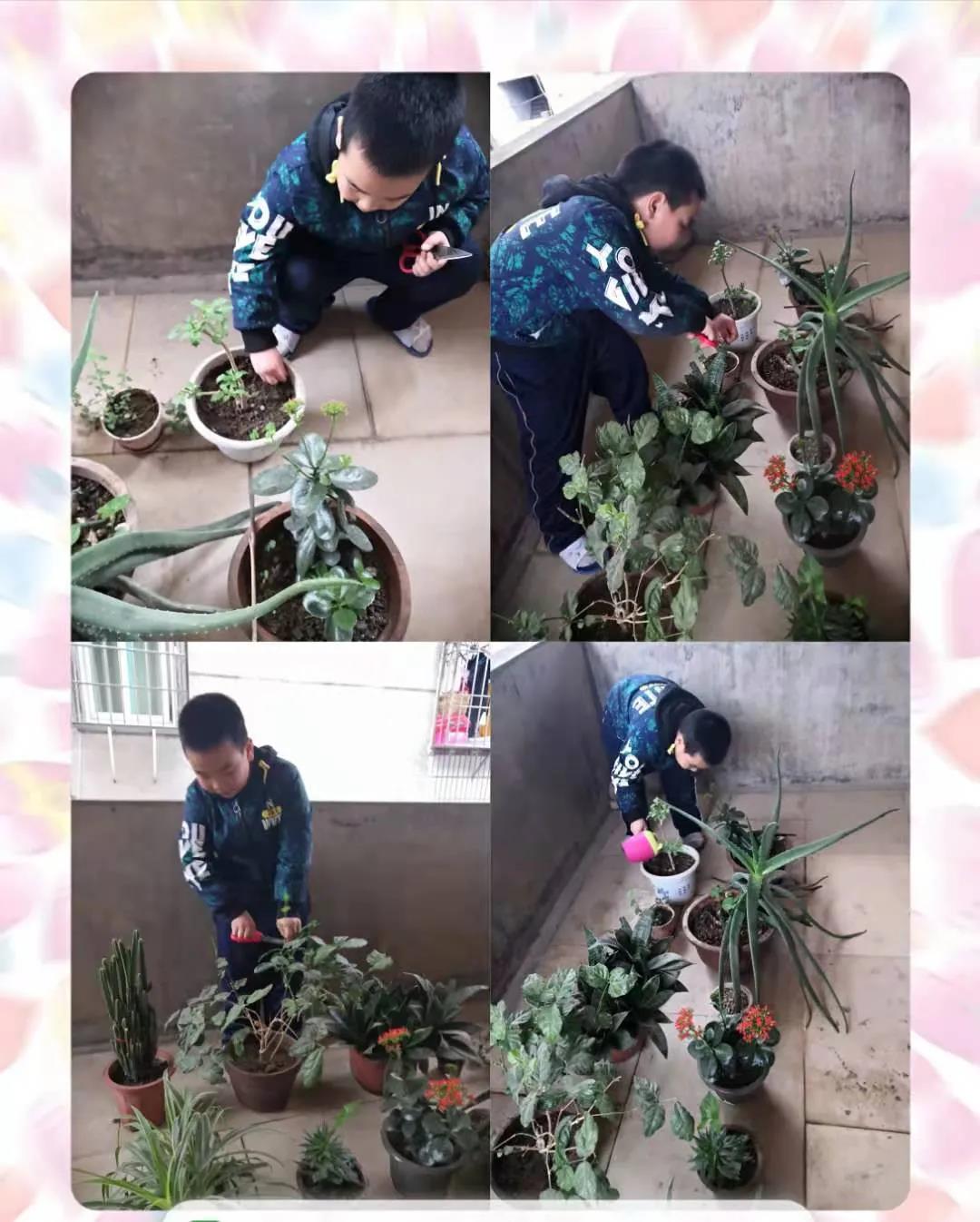 1617503928628294.jpg 1617503928628294.jpg