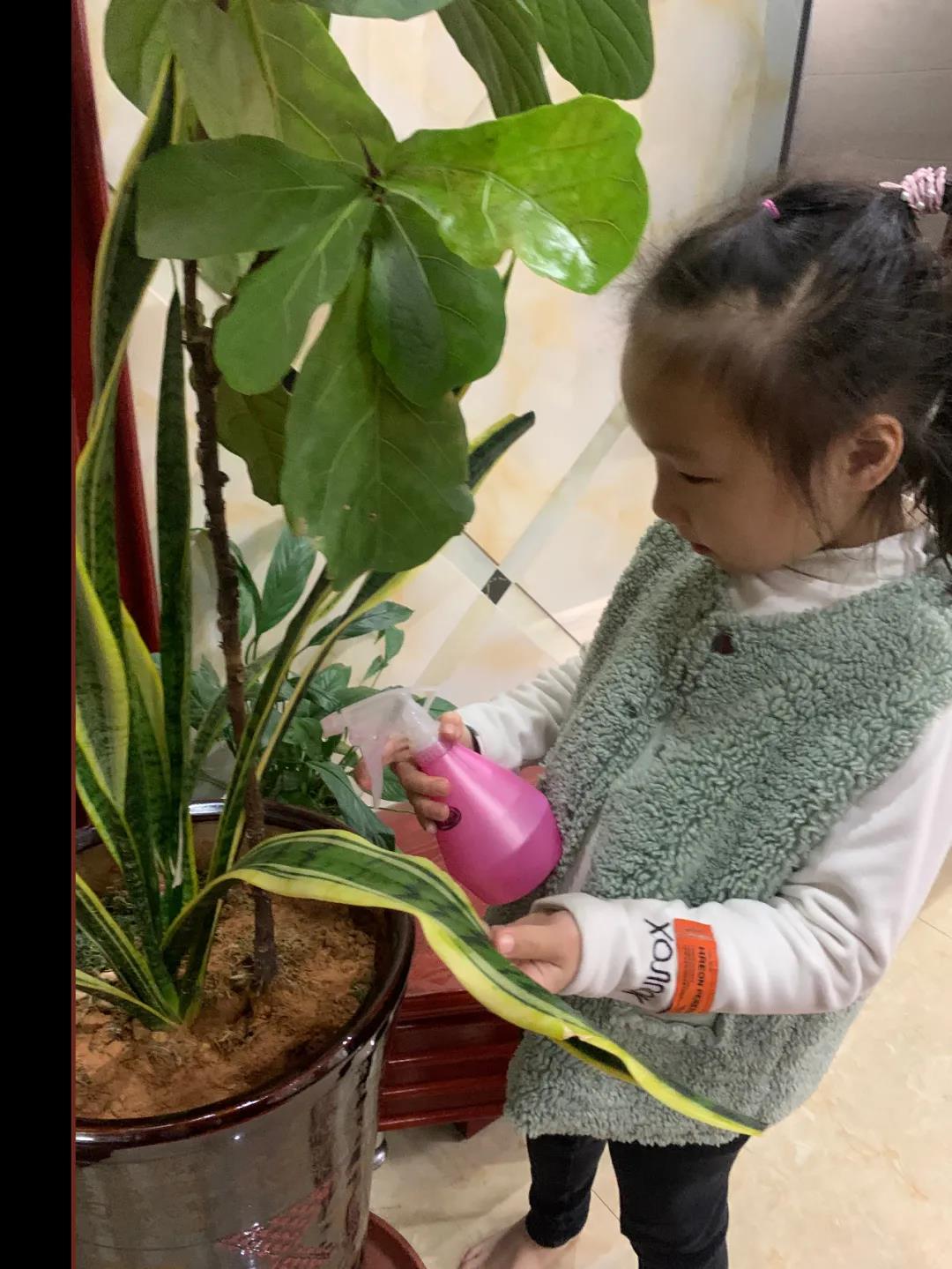 1617503928644646.jpg 1617503928644646.jpg