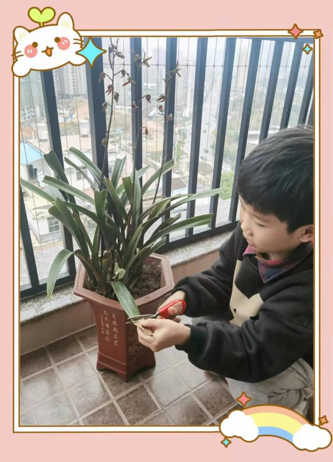 1617503928760692.jpg 1617503928760692.jpg