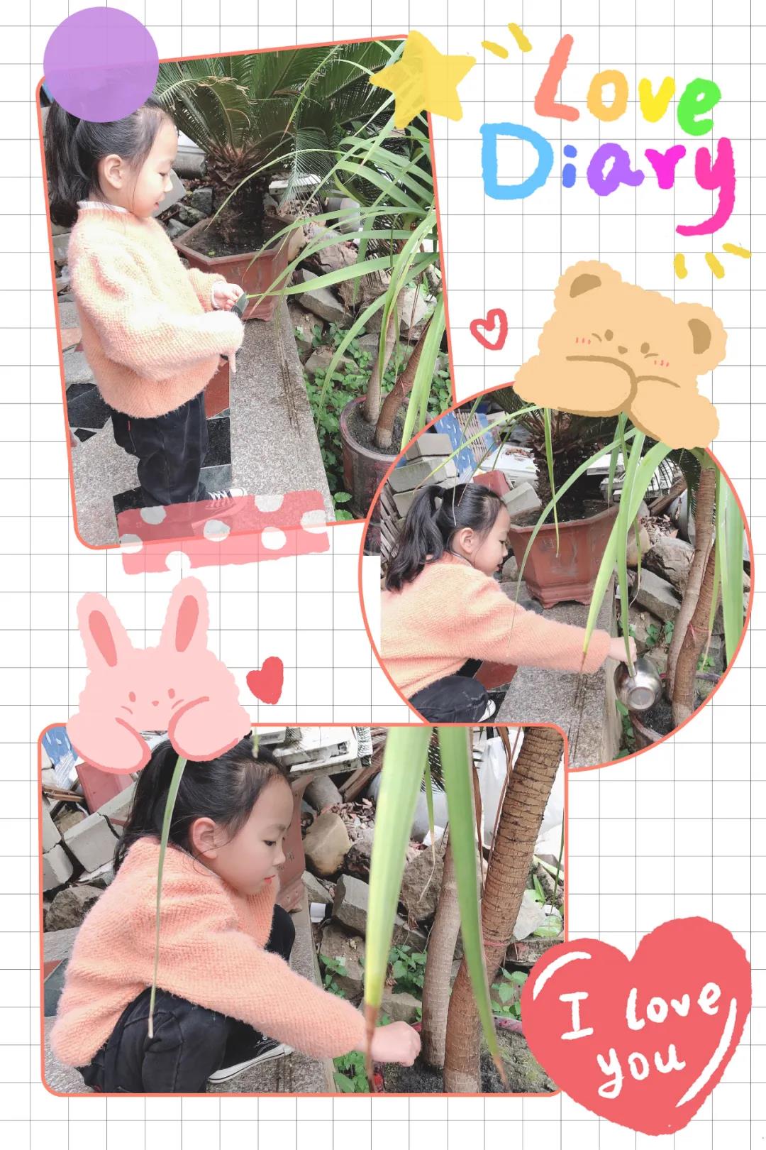 1617503929501481.jpg 1617503929501481.jpg