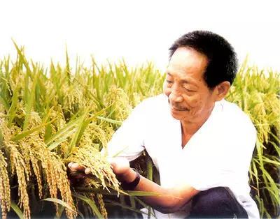 1622259135353819.jpg 微信图片_20210529111323.jpg